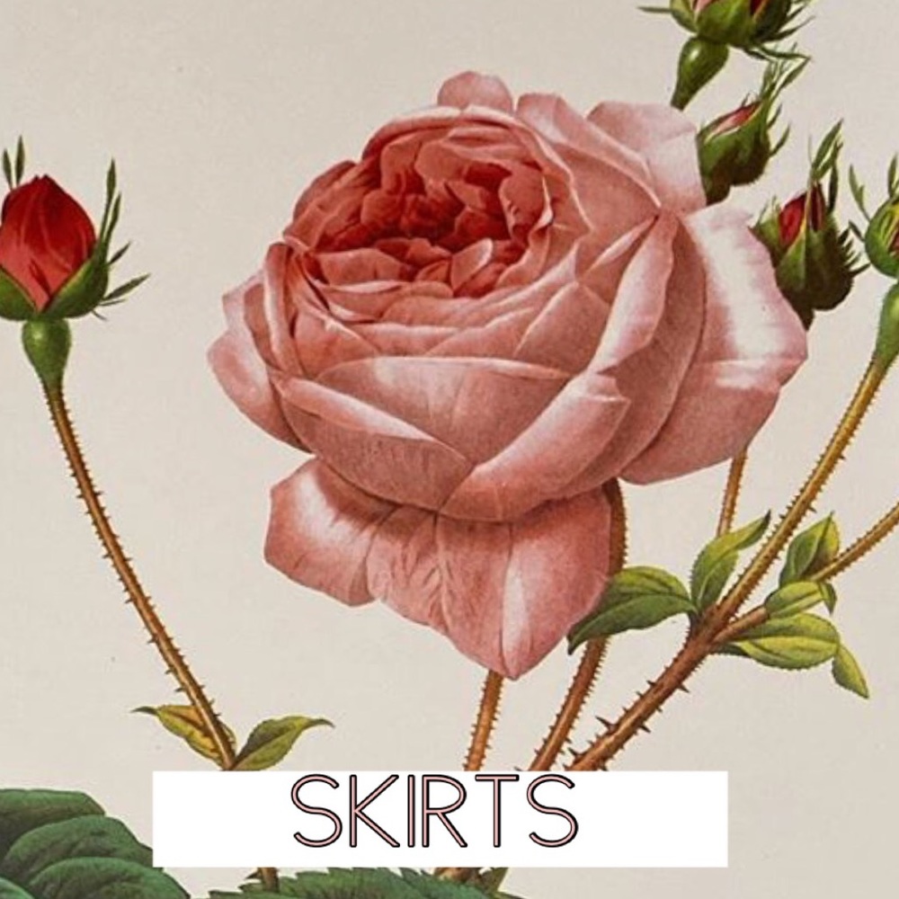 🌸Skirts🌸